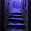 Dungeon Book